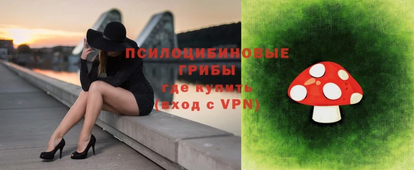 бутират Алзамай
