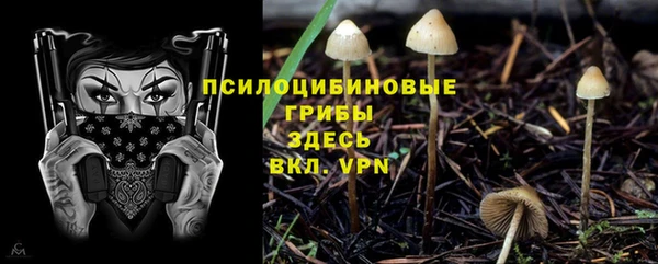 бутират Алзамай